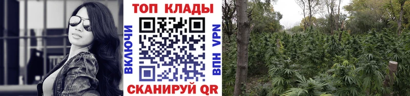 Купить закладку Талица Cocaine  Меф  Гашиш 