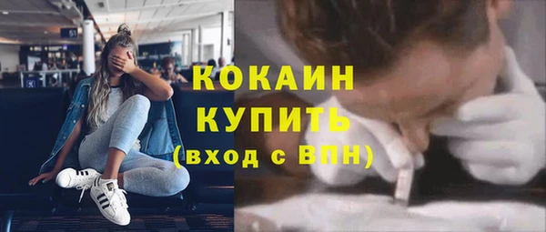индика Покров